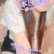 ヒメ日記 2026/06/13 09:13 投稿 いよ 熟女の風俗最終章 八王子店