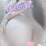 ヒメ日記 2026/10/12 08:43 投稿 いよ 熟女の風俗最終章 八王子店