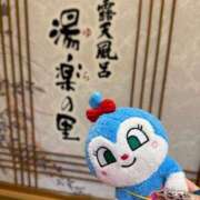 ヒメ日記 2025/11/10 10:00 投稿 社みほ ラブアイドル