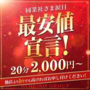 ヒメ日記 2025/09/17 12:00 投稿 なぎ 大阪はまちゃん日本橋店
