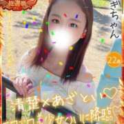 ヒメ日記 2025/11/12 14:10 投稿 なぎ 大阪はまちゃん日本橋店