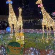 ヒメ日記 2025/12/25 12:30 投稿 なぎ 大阪はまちゃん日本橋店