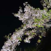 なぎ 次回出勤👀 コンカフェ×オナクラ @LOVE日本橋店