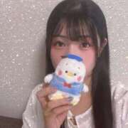 ヒメ日記 2025/08/09 07:23 投稿 ねね しろうと娘　本店