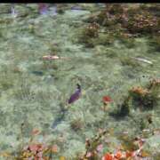 ヒメ日記 2025/07/28 08:09 投稿 茉白【ましろ】 人妻日和(久喜)