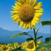 ヒメ日記 2025/07/29 08:00 投稿 茉白【ましろ】 人妻日和(久喜)