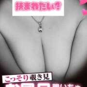 ヒメ日記 2025/07/31 08:39 投稿 茉白【ましろ】 人妻日和(久喜)