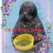 ヒメ日記 2025/08/02 01:33 投稿 茉白【ましろ】 人妻日和(久喜)