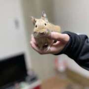 ヒメ日記 2025/08/04 18:51 投稿 茉白【ましろ】 人妻日和(久喜)