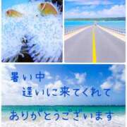 ヒメ日記 2025/08/06 01:37 投稿 茉白【ましろ】 人妻日和(久喜)