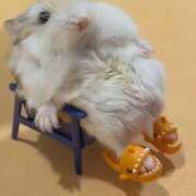 ヒメ日記 2025/08/12 16:09 投稿 茉白【ましろ】 人妻日和(久喜)