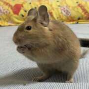 ヒメ日記 2025/08/31 19:40 投稿 茉白【ましろ】 人妻日和(久喜)