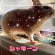 ヒメ日記 2025/12/29 14:56 投稿 茉白【ましろ】 人妻日和(久喜)