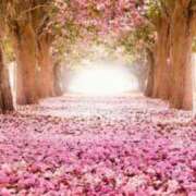 茉白【ましろ】 書類仕事苦手(´；ω；｀)ぅʓぅʓ 人妻日和(久喜)