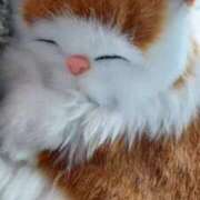 ヒメ日記 2025/07/23 08:07 投稿 坂下ゆき子 五十路マダム 博多店