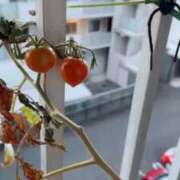 ヒメ日記 2025/07/29 05:37 投稿 坂下ゆき子 五十路マダム 博多店