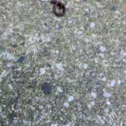 ヒメ日記 2025/07/29 13:17 投稿 坂下ゆき子 五十路マダム 博多店