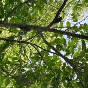 ヒメ日記 2025/08/08 08:47 投稿 坂下ゆき子 五十路マダム 博多店