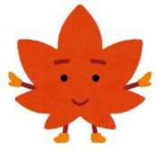 ヒメ日記 2025/11/12 09:22 投稿 しほ 梅田アバンチュール