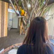 ヒメ日記 2025/08/11 09:35 投稿 まなつ★SS級！坂道系スター★ Chloe鶯谷・上野店 S級素人清楚系デリヘル