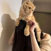 ヒメ日記 2025/08/12 15:32 投稿 まなつ★SS級！坂道系スター★ Chloe鶯谷・上野店 S級素人清楚系デリヘル