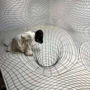 ヒメ日記 2025/08/12 18:31 投稿 まなつ★SS級！坂道系スター★ Chloe鶯谷・上野店 S級素人清楚系デリヘル