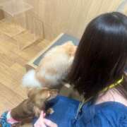 ヒメ日記 2025/08/18 13:13 投稿 まなつ★SS級！坂道系スター★ Chloe鶯谷・上野店 S級素人清楚系デリヘル