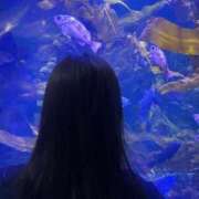 ヒメ日記 2025/08/28 13:02 投稿 まなつ★SS級！坂道系スター★ Chloe鶯谷・上野店 S級素人清楚系デリヘル