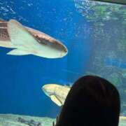 ヒメ日記 2025/09/04 04:42 投稿 まなつ★SS級！坂道系スター★ Chloe鶯谷・上野店 S級素人清楚系デリヘル