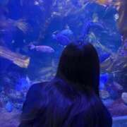 ヒメ日記 2025/09/09 05:50 投稿 まなつ★SS級！坂道系スター★ Chloe鶯谷・上野店 S級素人清楚系デリヘル