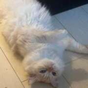 ヒメ日記 2025/09/18 05:34 投稿 まなつ★SS級！坂道系スター★ Chloe鶯谷・上野店 S級素人清楚系デリヘル