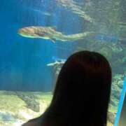 ヒメ日記 2025/09/24 07:33 投稿 まなつ★SS級！坂道系スター★ Chloe鶯谷・上野店 S級素人清楚系デリヘル