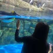 ヒメ日記 2025/09/25 02:40 投稿 まなつ★SS級！坂道系スター★ Chloe鶯谷・上野店 S級素人清楚系デリヘル