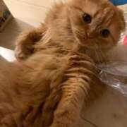 ヒメ日記 2025/10/10 02:29 投稿 まなつ★SS級！坂道系スター★ Chloe鶯谷・上野店 S級素人清楚系デリヘル