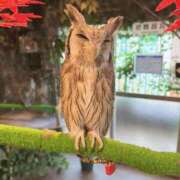 ヒメ日記 2025/10/14 01:30 投稿 まなつ★SS級！坂道系スター★ Chloe鶯谷・上野店 S級素人清楚系デリヘル