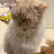 ヒメ日記 2025/12/04 01:20 投稿 まなつ★SS級！坂道系スター★ Chloe鶯谷・上野店 S級素人清楚系デリヘル