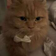 ヒメ日記 2025/12/09 02:58 投稿 まなつ★SS級！坂道系スター★ Chloe鶯谷・上野店 S級素人清楚系デリヘル