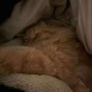 ヒメ日記 2025/12/16 04:21 投稿 まなつ★SS級！坂道系スター★ Chloe鶯谷・上野店 S級素人清楚系デリヘル