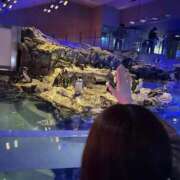 ヒメ日記 2026/01/24 16:53 投稿 まなつ★SS級！坂道系スター★ Chloe鶯谷・上野店 S級素人清楚系デリヘル