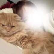 ヒメ日記 2026/01/31 19:01 投稿 まなつ★SS級！坂道系スター★ Chloe鶯谷・上野店 S級素人清楚系デリヘル