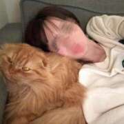 ヒメ日記 2026/02/11 08:20 投稿 まなつ★SS級！坂道系スター★ Chloe鶯谷・上野店 S級素人清楚系デリヘル