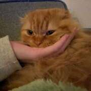 ヒメ日記 2026/02/26 05:11 投稿 まなつ★SS級！坂道系スター★ Chloe鶯谷・上野店 S級素人清楚系デリヘル