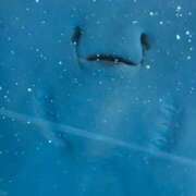 ヒメ日記 2025/08/08 22:59 投稿 りん どMばすたーず すすきの店