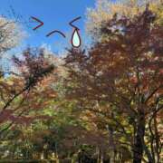 ヒメ日記 2025/10/05 09:38 投稿 みき 素人妻達☆マイふぇらレディー