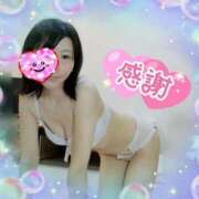 ヒメ日記 2025/11/02 23:44 投稿 みき 素人妻達☆マイふぇらレディー