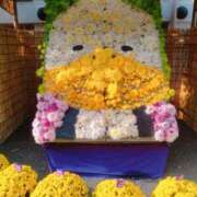 ヒメ日記 2025/11/07 15:50 投稿 みき 素人妻達☆マイふぇらレディー