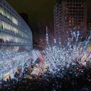 ヒメ日記 2025/11/25 22:50 投稿 みき 素人妻達☆マイふぇらレディー