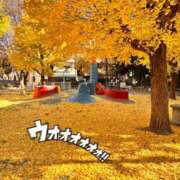 ヒメ日記 2025/12/09 18:17 投稿 みき 素人妻達☆マイふぇらレディー