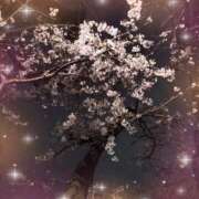 ヒメ日記 2026/03/30 00:08 投稿 みき 素人妻達☆マイふぇらレディー