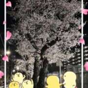 ヒメ日記 2026/04/03 00:18 投稿 みき 素人妻達☆マイふぇらレディー